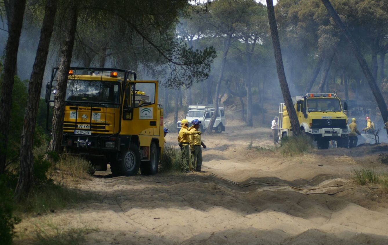 Incendio en Doñana durante la romería de El Rocío (SEO/Birdlife)