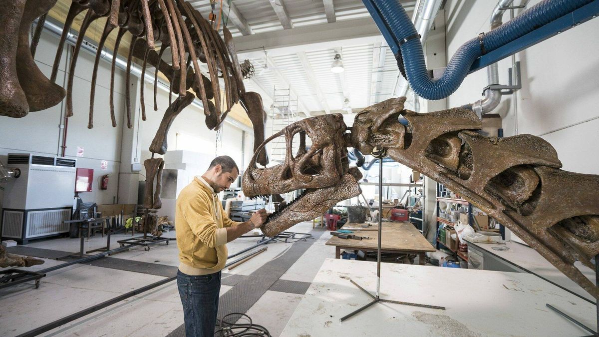 Las 460 excavaciones y 60.000 fósiles de dinosaurios en Teruel que la hacen la meca de la paleontología 