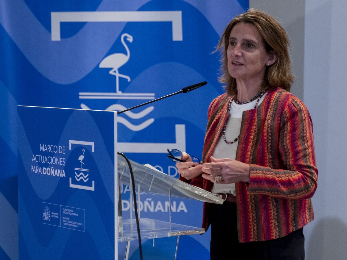 Foto: Teresa Ribera en la presentación del plan del Gobierno en Doñana. (EFE/Julián Pérez)
