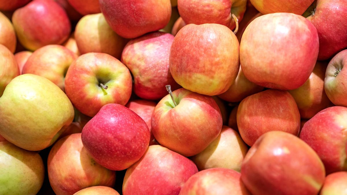 3 recetas saludables y sencillas que puedes hacer con las manzanas que tengas por tu cocina