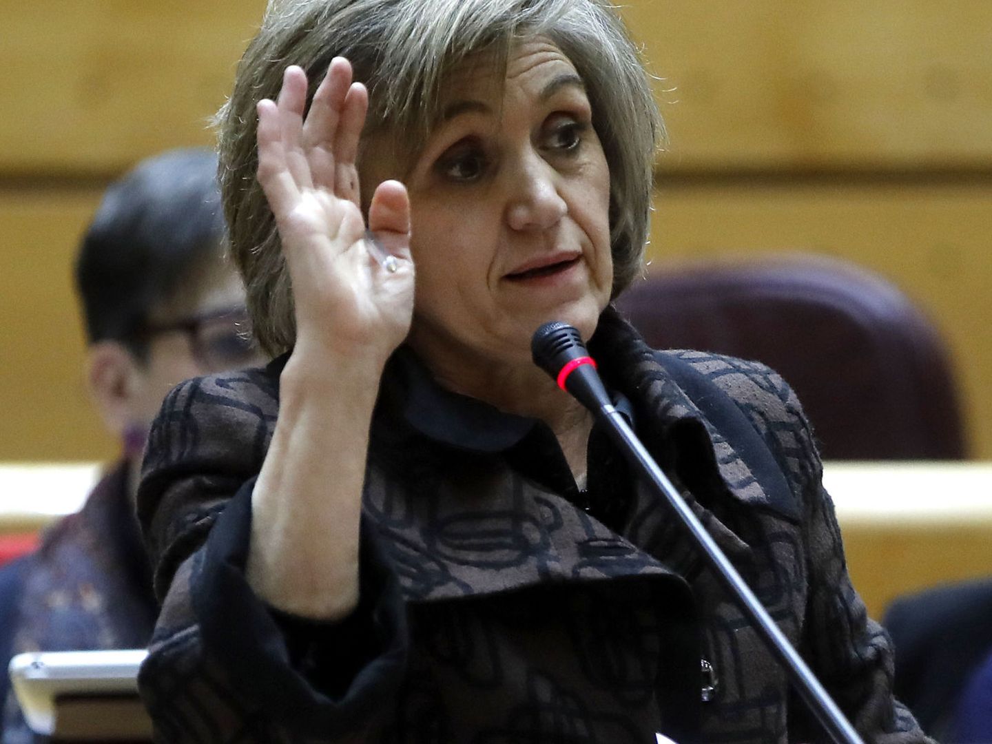 La senadora asturiana Luisa Carcedo, el pasado diciembre. (EFE)