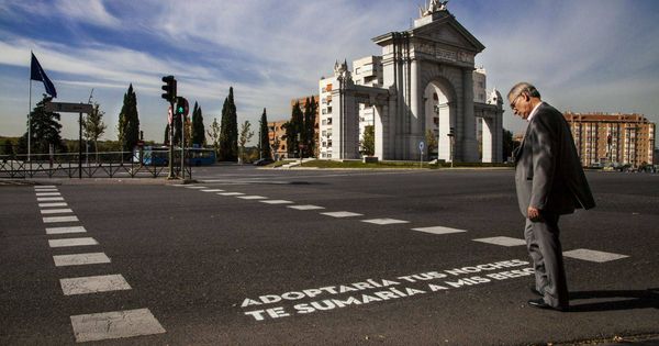 Foto: Uno de los versos en los pasos de cebra | Ayuntamiento de Madrid
