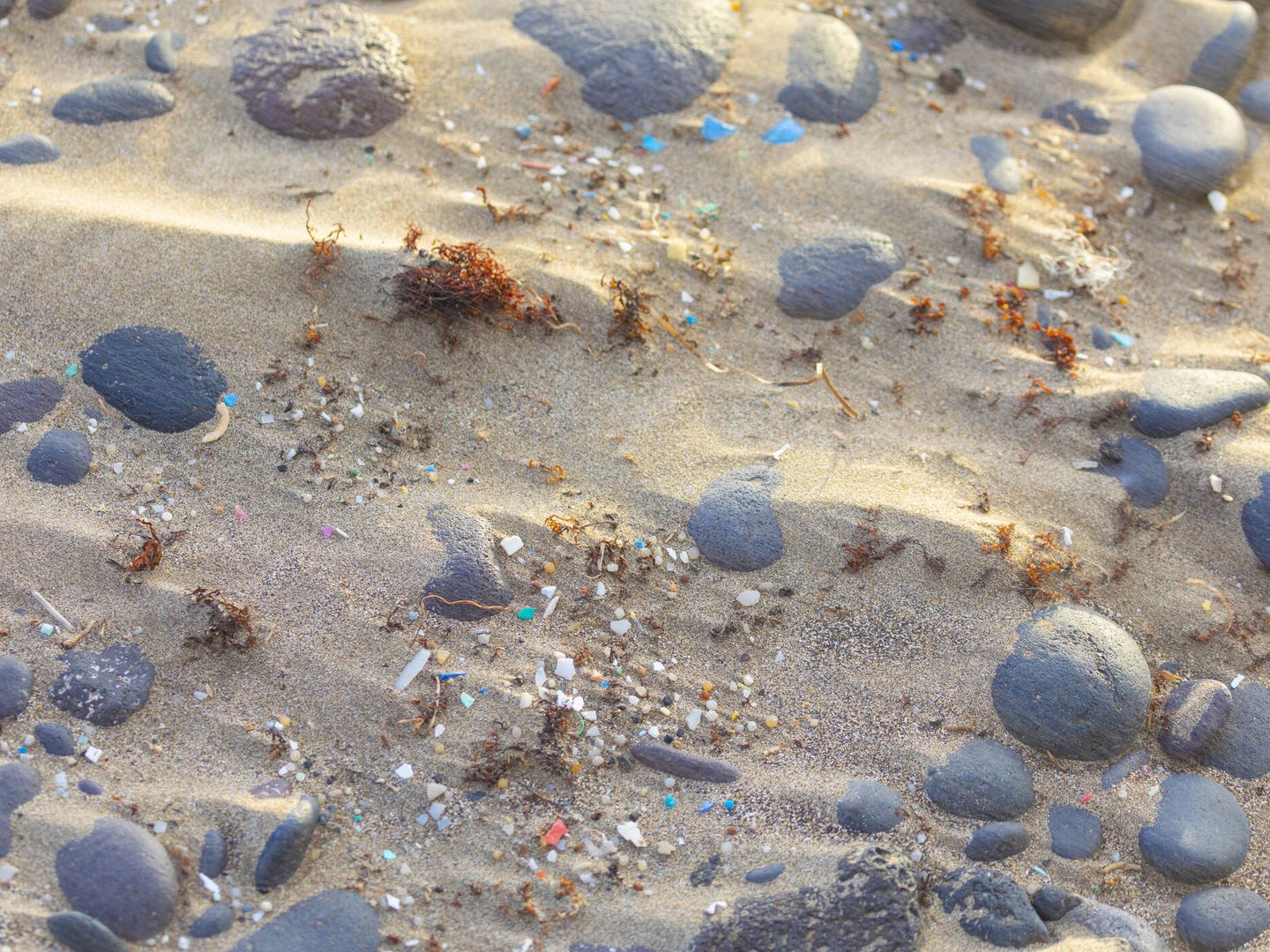 Microplásticos en la arena (Fuente: iStock)