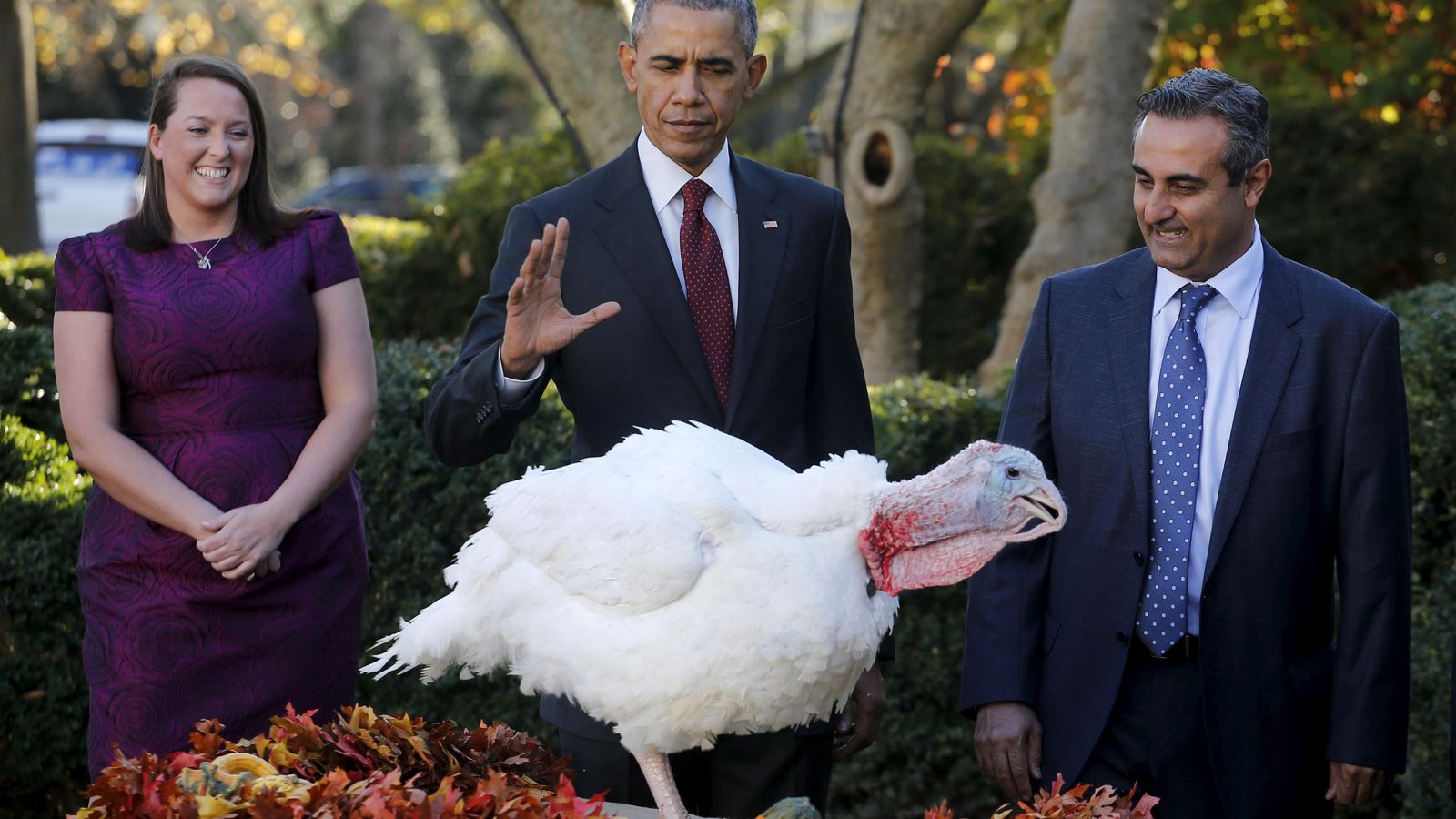Foto: Obama otorga el indulto a Abe en la tradicional ceremonia de Acción de Gracias. (Reuters)