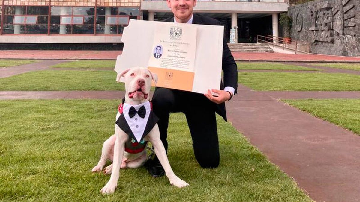 El perro que conquistó a toda la universidad por ir a la graduación de su dueño con esmoquin