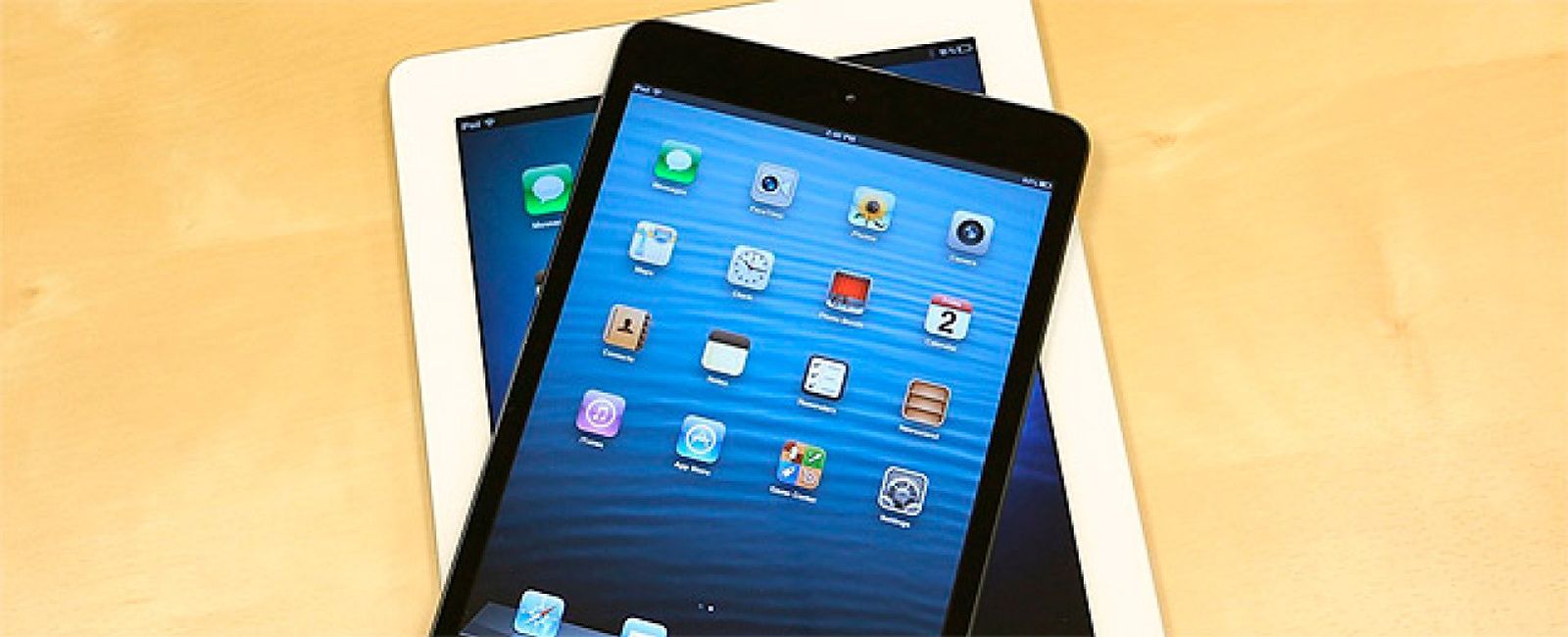 Foto: iPad o iPad Mini, ¿cuál es el mío?