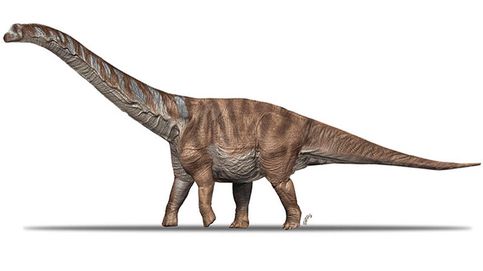 Nueva especie de dinosaurio de grandes dimensiones en el Pirineo catalán