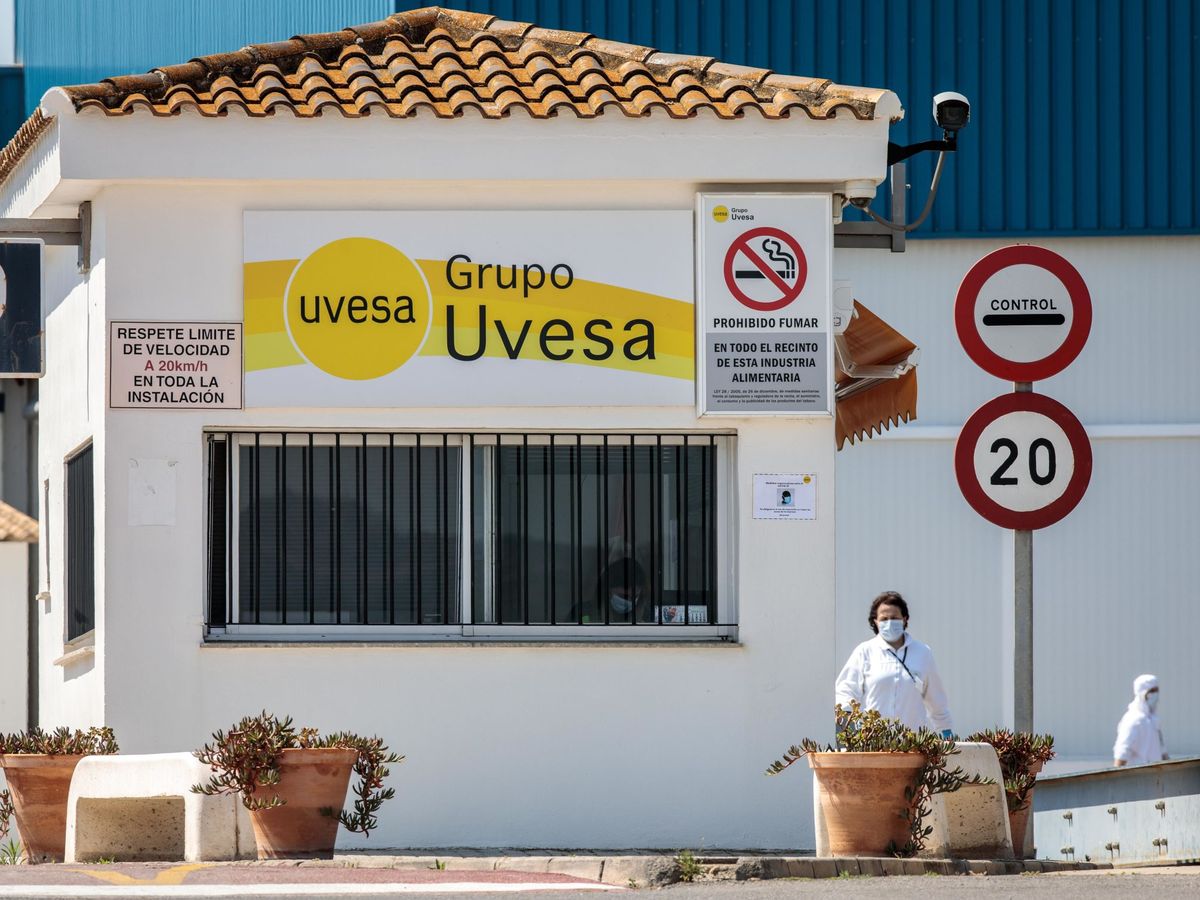 Foto: Vista general del acceso principal a la empresa cárnica Grupo Uvesa de Rafelbuñol (Valencia), donde se han diagnosticado 7 casos de coronavirus. (EFE)
