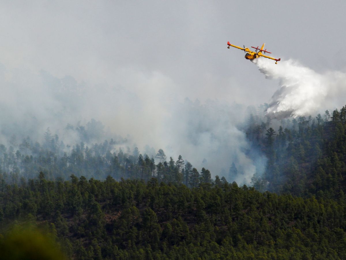 Foto: Un incendio en Tenerife en mayo (Reuters)