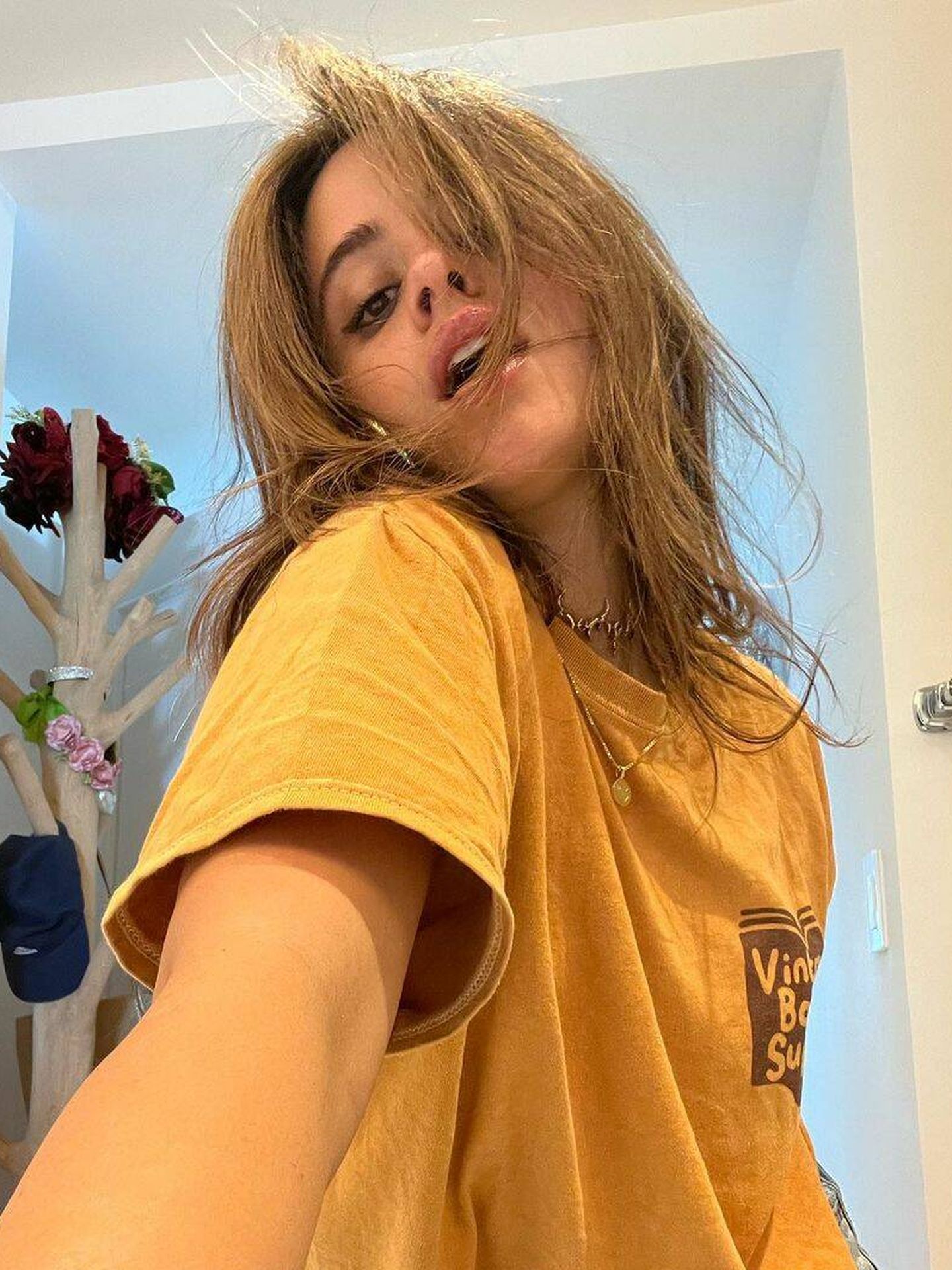 Camila Cabello, mostrando su nueva coloración miel en su cuenta de Instagram. (@camila_cabello)
