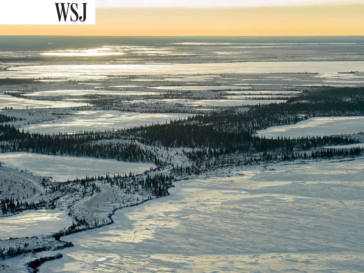 Foto: Las tierras bajas de la bahía de Hudson en Canadá. (Alamy/Don Johnston NC)