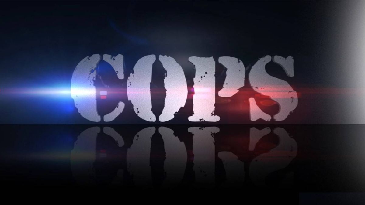 El histórico 'Cops', cancelado tras 31 años de emisión por la brutalidad policial