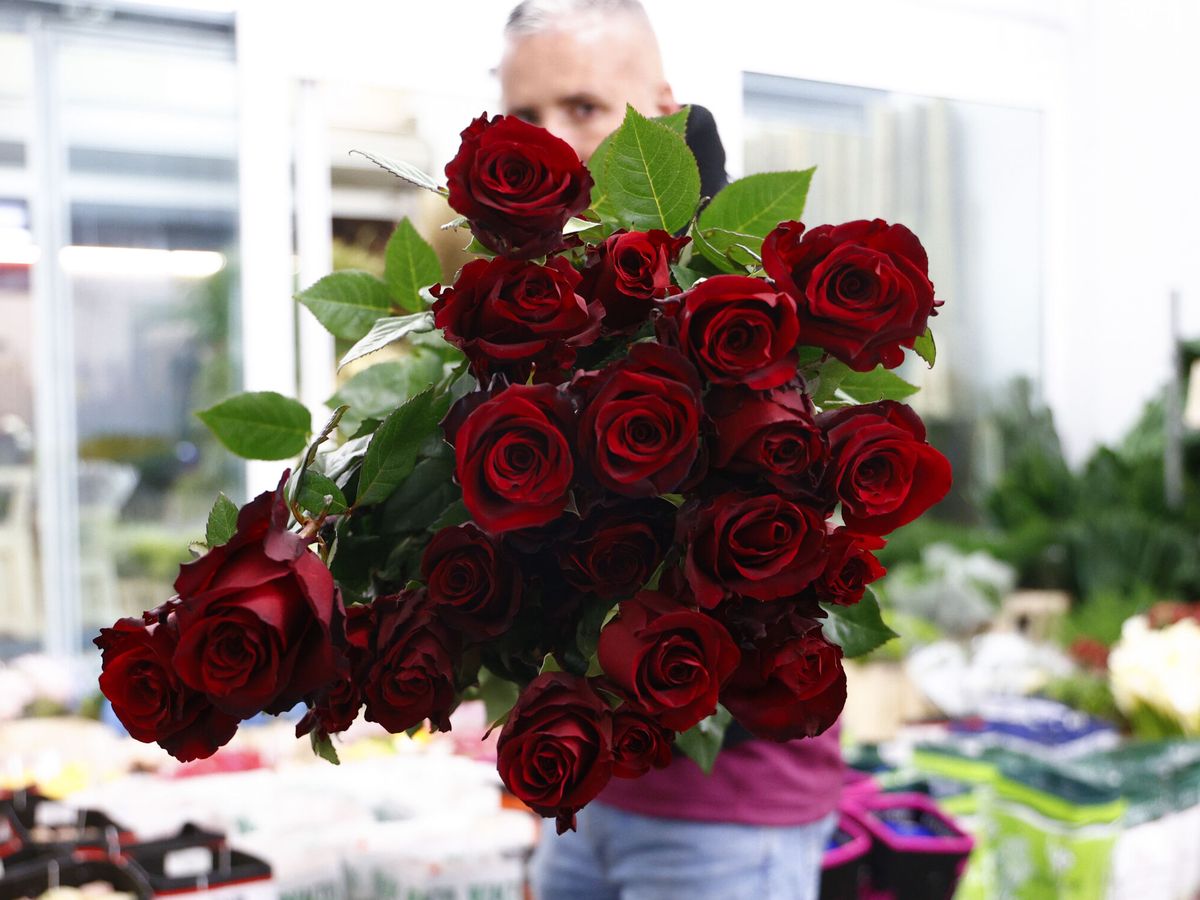 Foto: Acompaña tus rosas (también virtuales) con un mensaje de lo más especial. (EFE/Quique García)