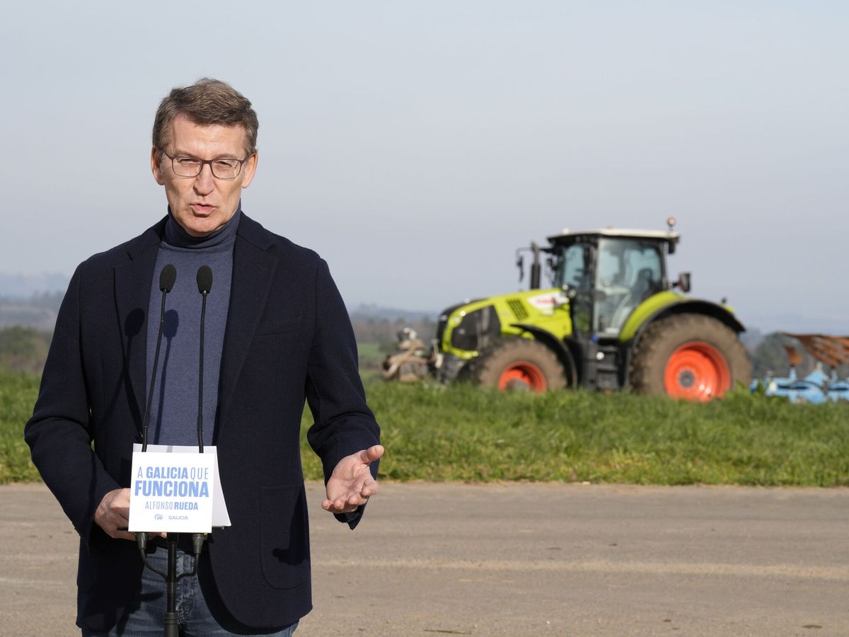Foto: El líder del PP, Alberto Núñez Feijóo, realiza una visita a una explotación agraria en Lalín. (Europa Press/Álvaro Ballesteros)