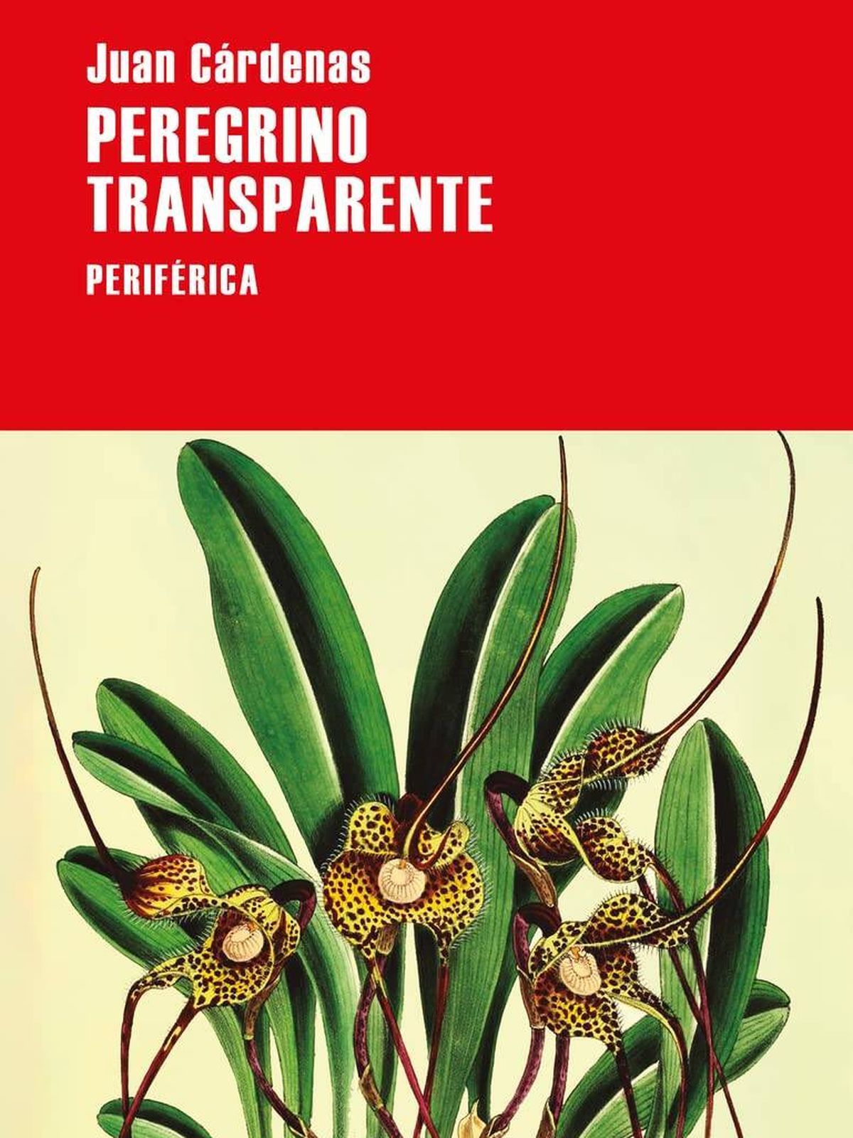 Portada de 'Peregrino transparente', de Juan Cárdenas. 