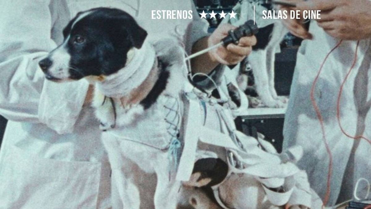 'Space Dogs': la oscura y cruel verdad sobre el papel de Laika en la carrera espacial