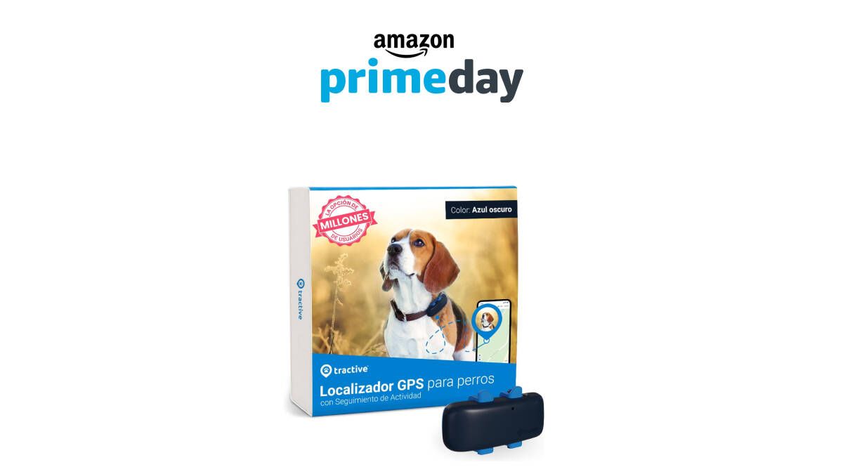 Oferta Prime Day en Amazon: Tractive GPS para perros con un 40% de descuento