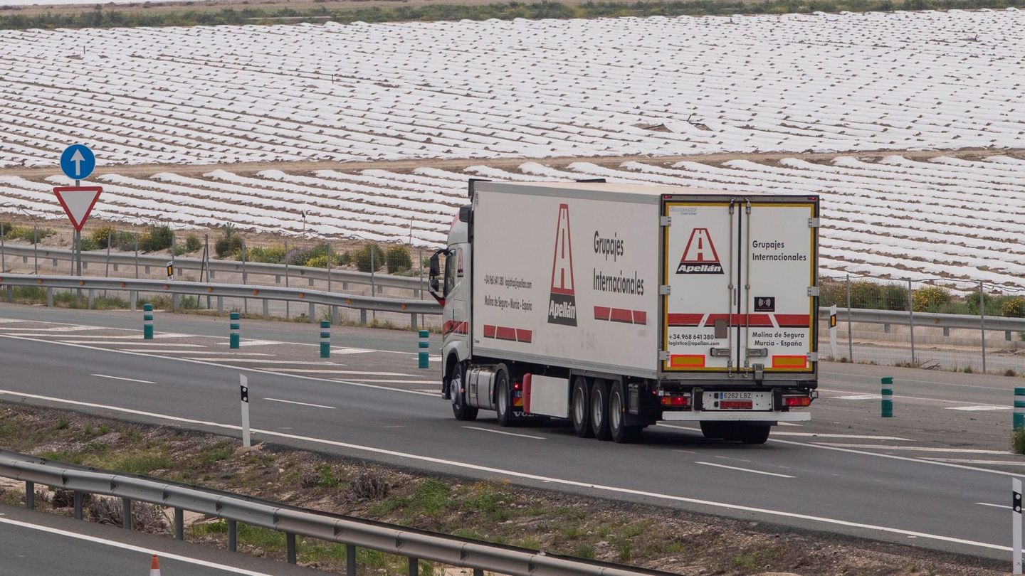 Un camión frigorífico circula junto a una finca de lechugas por la autovía A-30. (EFE/M. Guillén)
