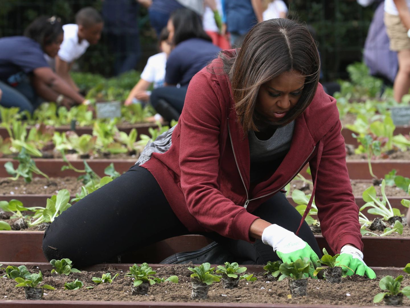 Michelle Obama (Getty Images)