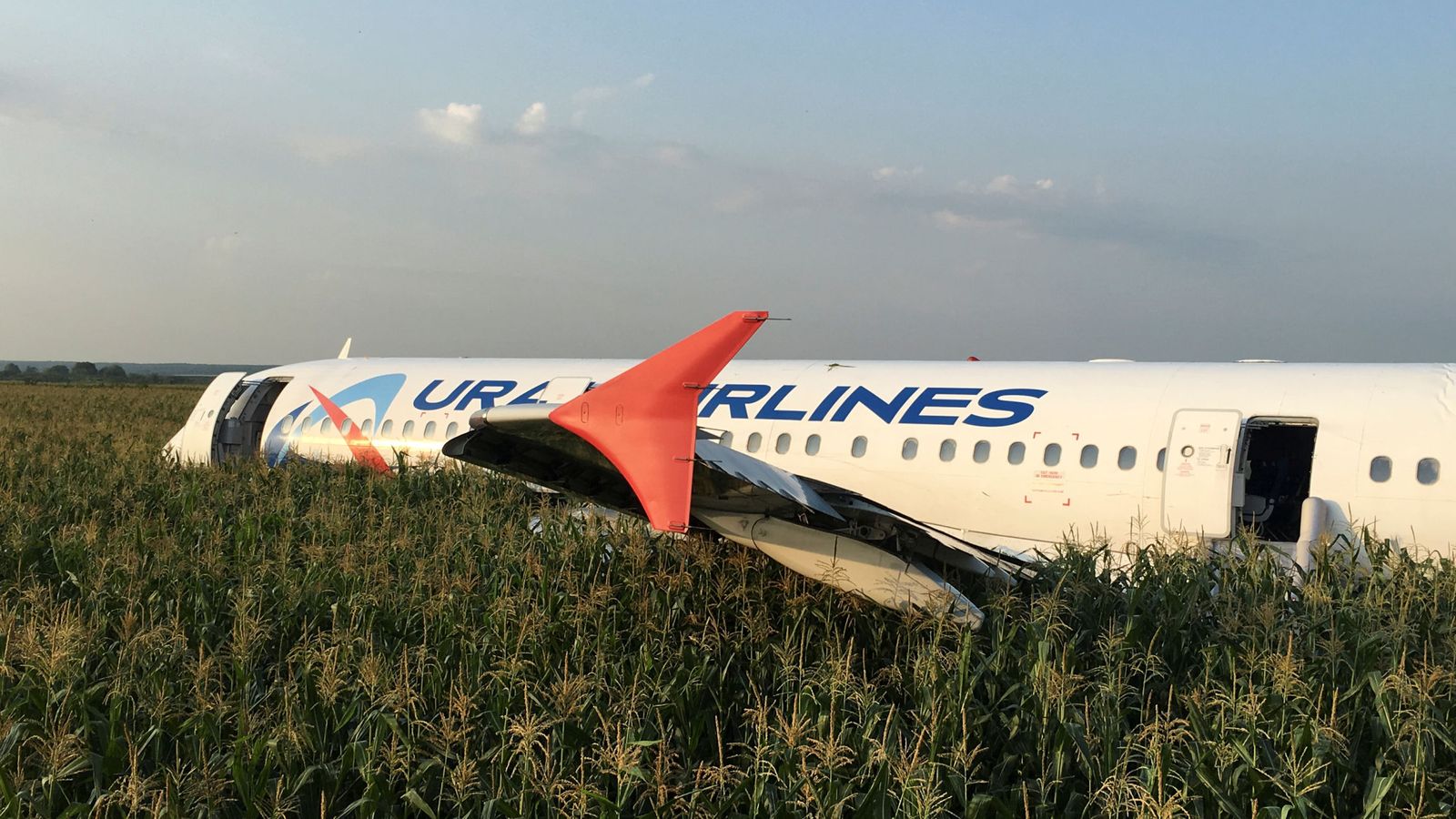 Foto: El Airbus accidentado, tras aterrizar en un maizal. (Reuters)