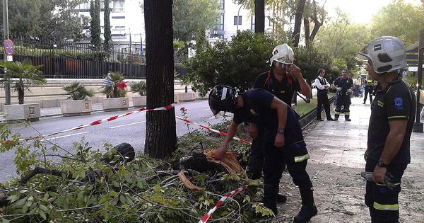 Foto: La caída de árboles y ramas es la segunda reclamación más habitual de los madrileños, por detrás del mal estado del pavimento. (EFE)