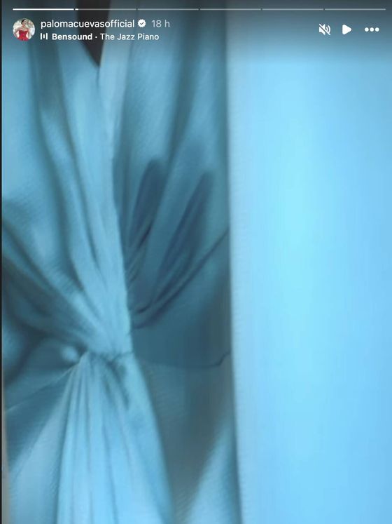 Detalle del drapeado del vestido de Paloma Cuevas. (Instagram / @palomacuevasofficial)