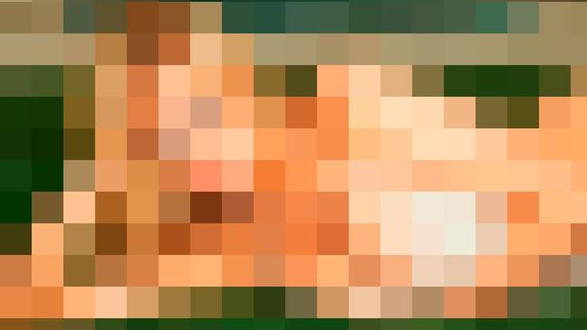El 'cerebro' de Google ya adivina quién está detrás de una imagen pixelada