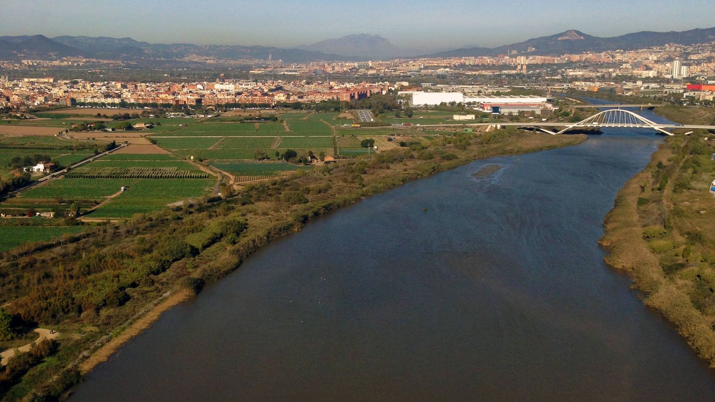 Desembocadura del río Llobregat (Jose Luis Gallego)
