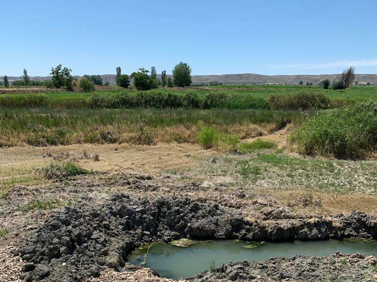 Foto: Vista del humedal de Soto Gutiérrez sin agua. (Cedida)