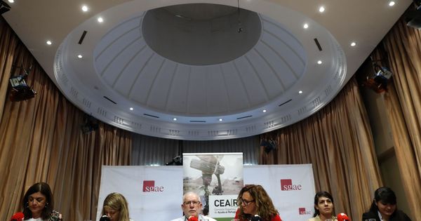 Foto: El presidente de Cear, Carlos Berzosa, durante la presentación del informe de 2018. (EFE)