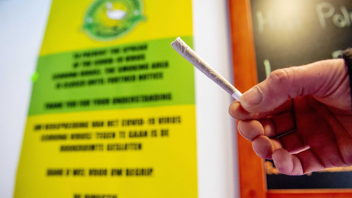 Holanda cierra los coffee shops pero reabren por la alta demanda de marihuana 