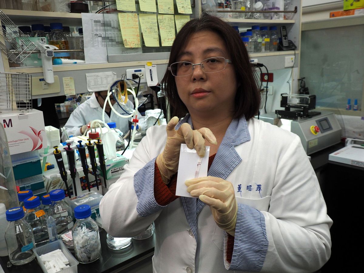 Foto: Investigadores de Taiwán desarrollan un test de anticuerpos de coronavirus. (EFE)