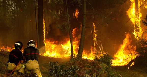 Foto: Operarios del sevicio de extinción de incendios trabajan en la zona de Zamanes, Vigo, el 15 de octubre de 2017. (EFE)