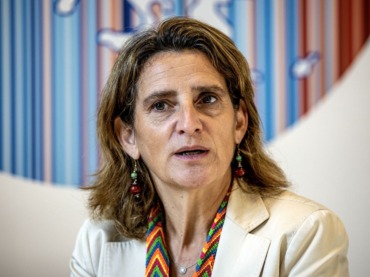Foto: La ministra de Transición Energética, Teresa Ribera. (EFE/Martin Divisek)