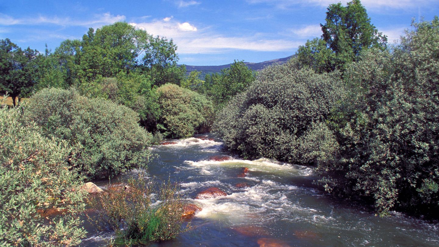 La depuración de aguas residuales es clave para el cuidado de los ríos madrileños. (Foto: Canal de Isabel II)