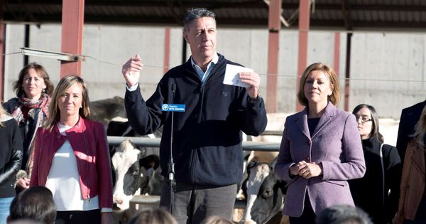 Foto: El líder del PP en Cataluña, Xavier García Albiol. (EFE)