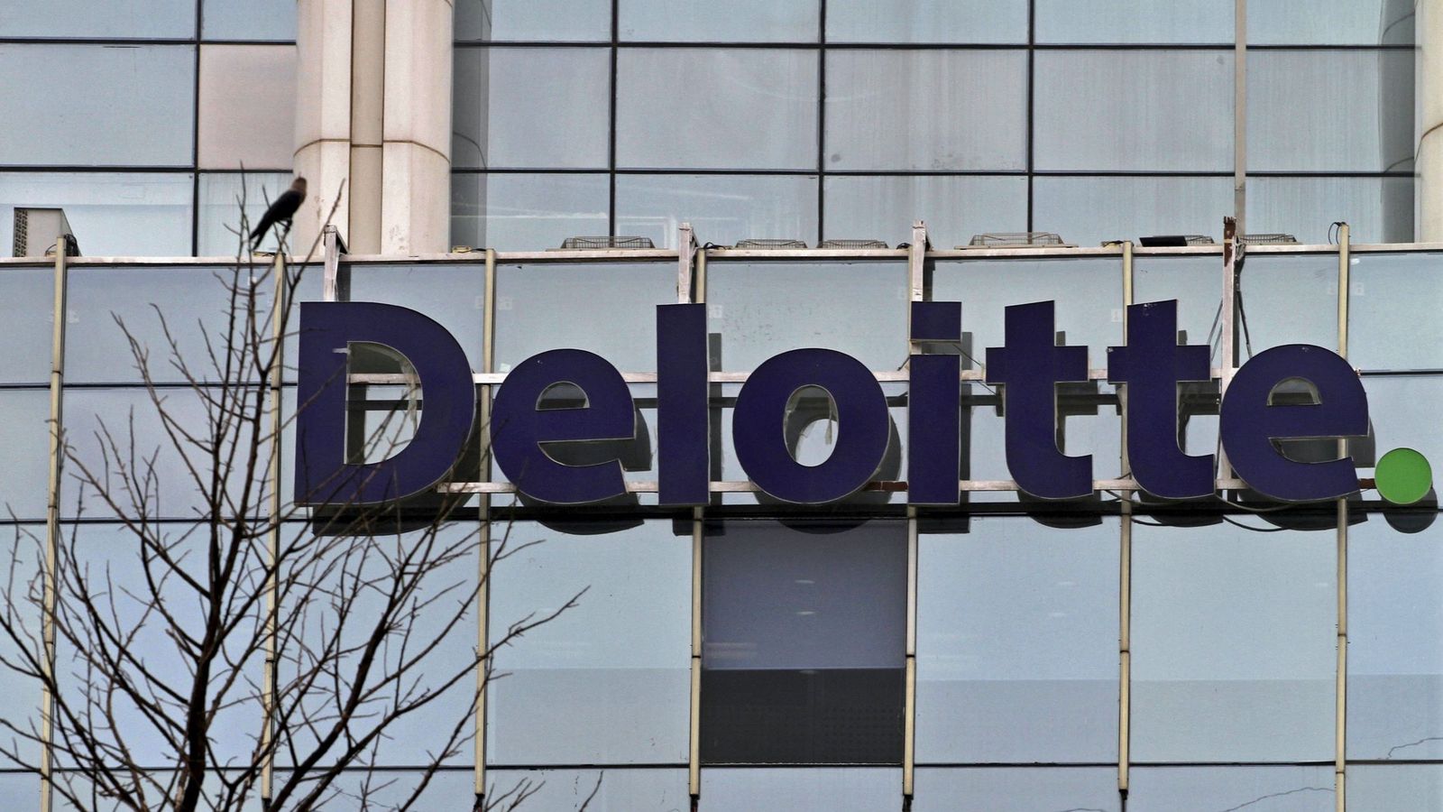 Foto: Logo de la auditora Deloitte. (Reuters)