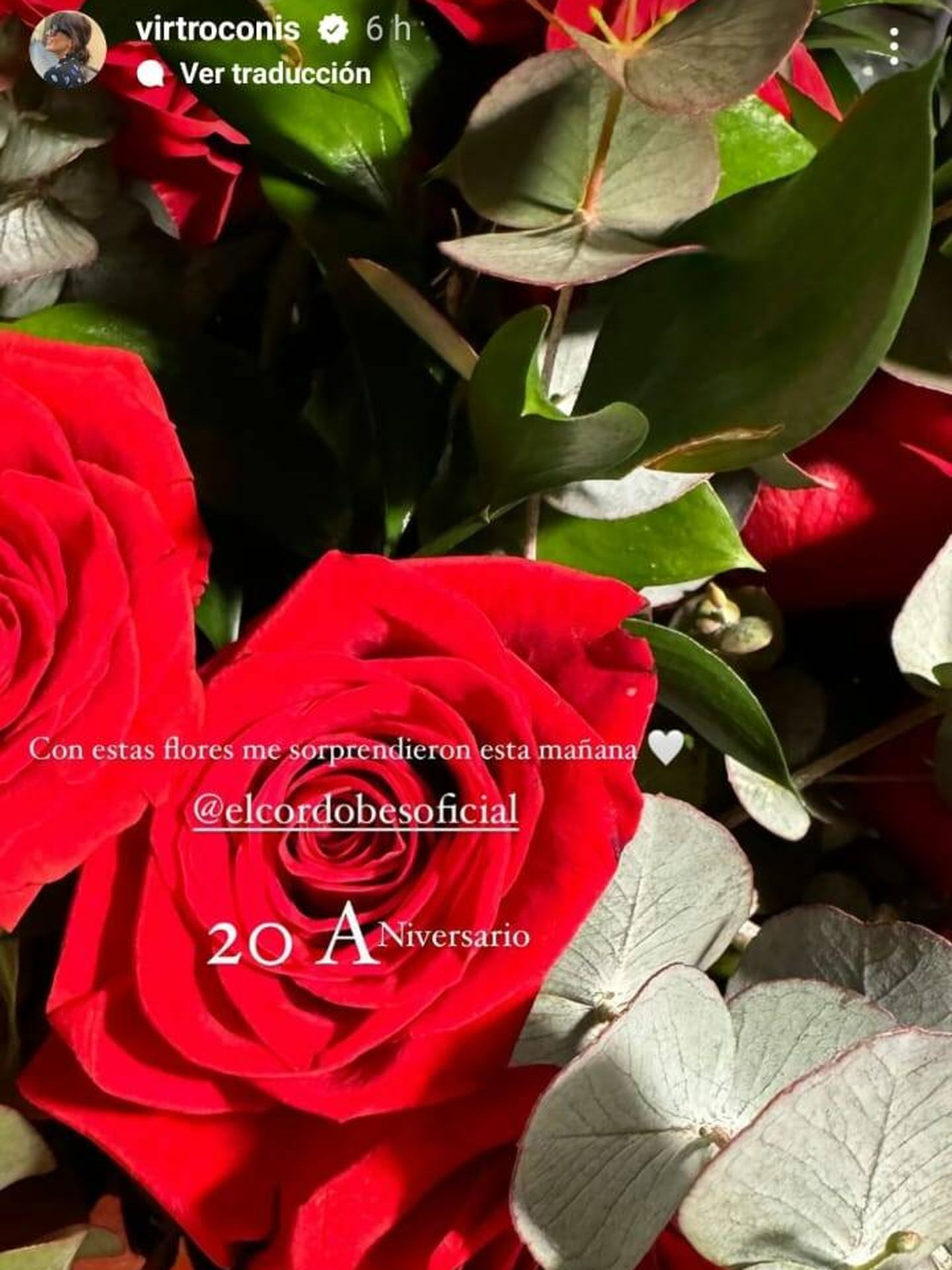 El ramo de rosas rojas que el Cordobés le ha regalado a Virginia. (Instagram/@virtroconis)