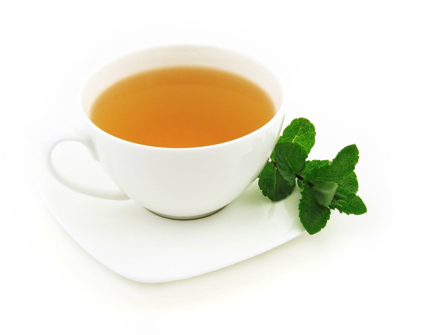 El té verde es un excelente purificador y estimulador del organismo.