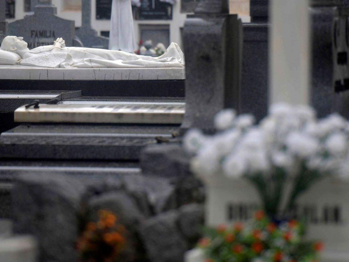 Foto: Cementerio de la Salud de Córdoba. EFE Rafa Alcaide