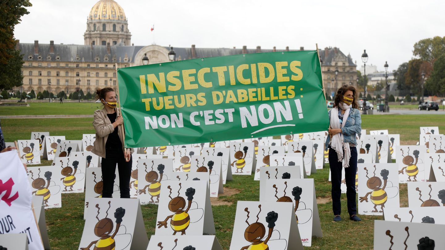 Protesta en defensa de las abejas en París. (Reuters/C. Platiau)