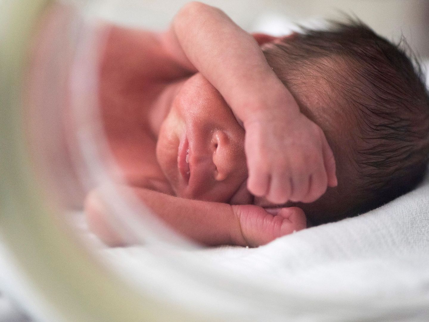 Un bebé prematuro descansa en una incubadora en una Unidad de Cuidados Intensivos de Neonatos. (EFE)