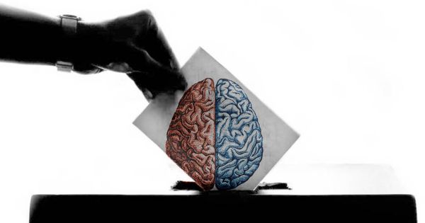 Foto: Muchos estudios han tratado de acceder al cerebro de un votante. (EV)