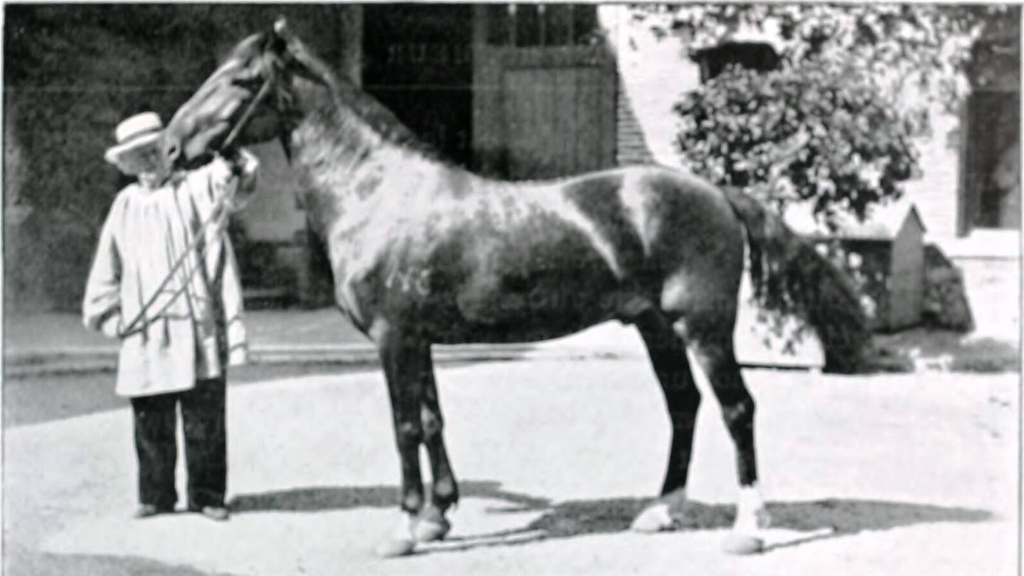 Rosa Bonheur con uno de sus caballos. Fuente: Wikimedia.