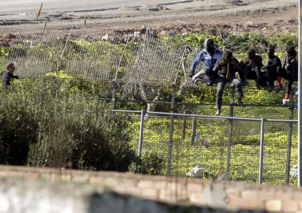 Foto: Varios inmigrantes de origen subsahariano se encaraman a la parte alta de la valla de Melilla. (EFE)