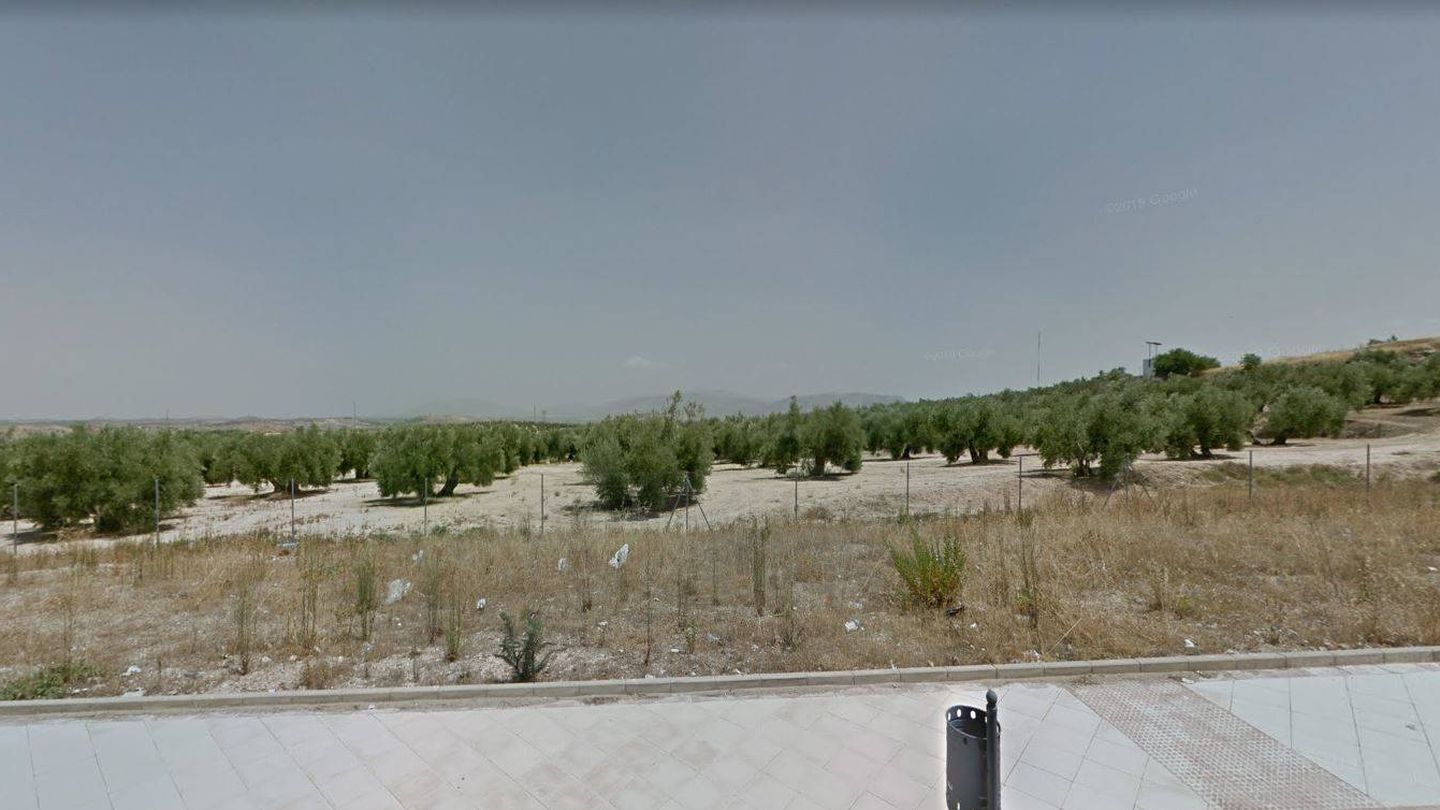 Terrenos de olivares donde estaba previsto levantar el proyecto