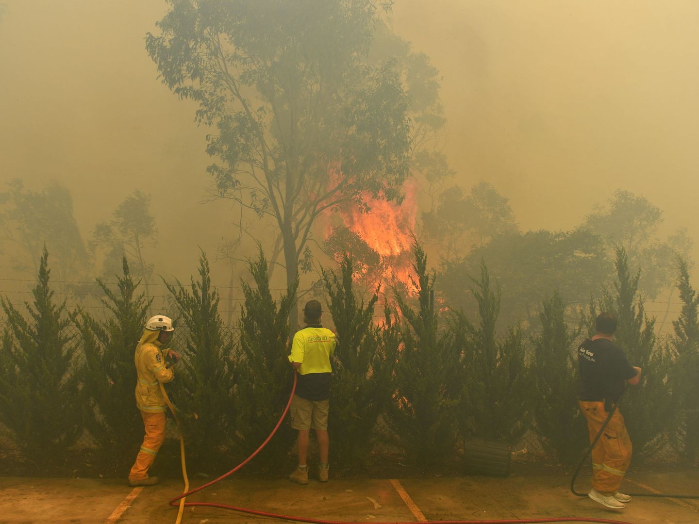 Zonas afectadas por los incendios, hoy, 23 de enero de 2020. (EFE)