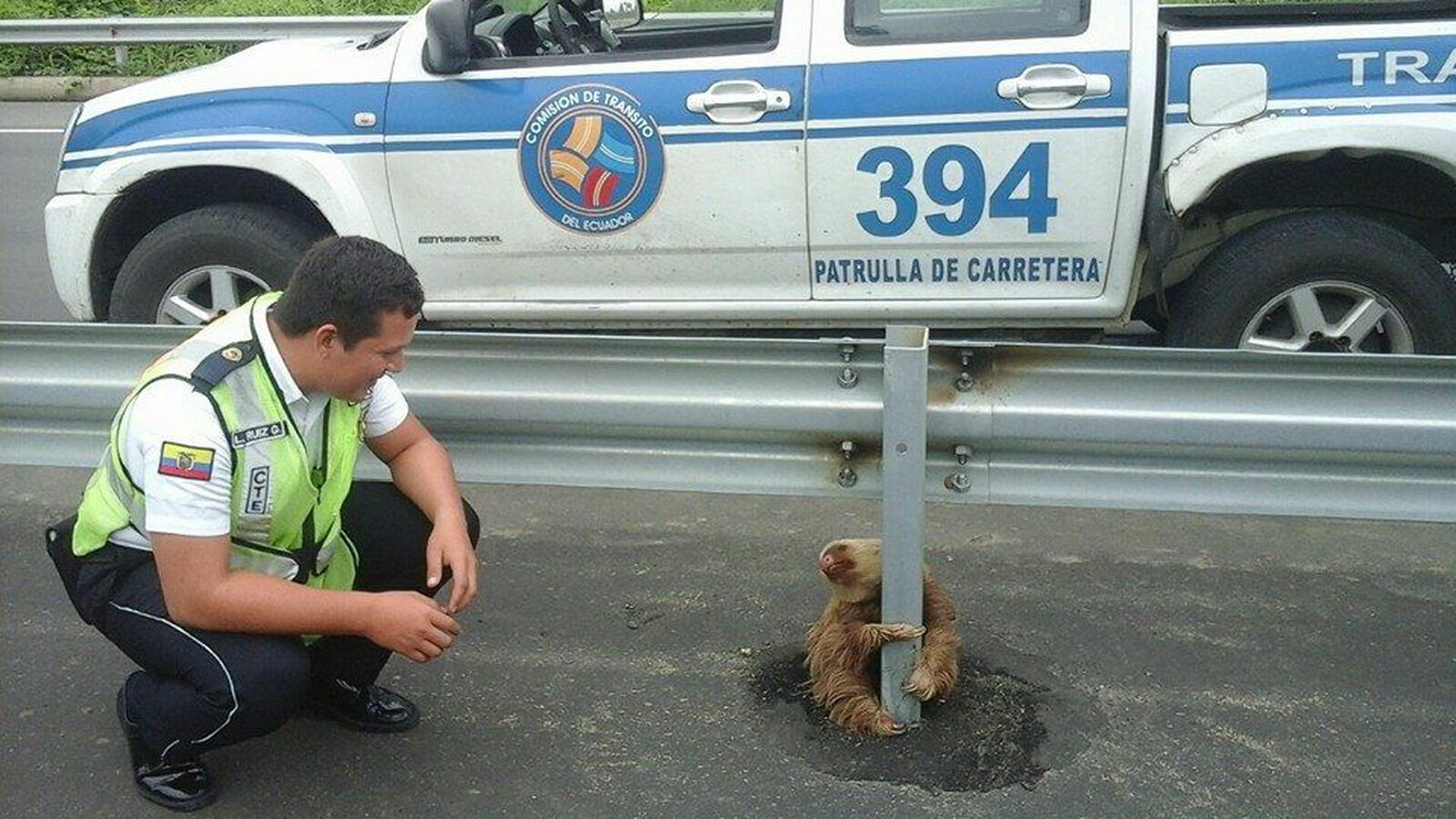 Foto: Uno de los agentes, junto al oso perezoso encontrado en Ecuador (Facebook/Comisión de Tránsito del Ecuador)