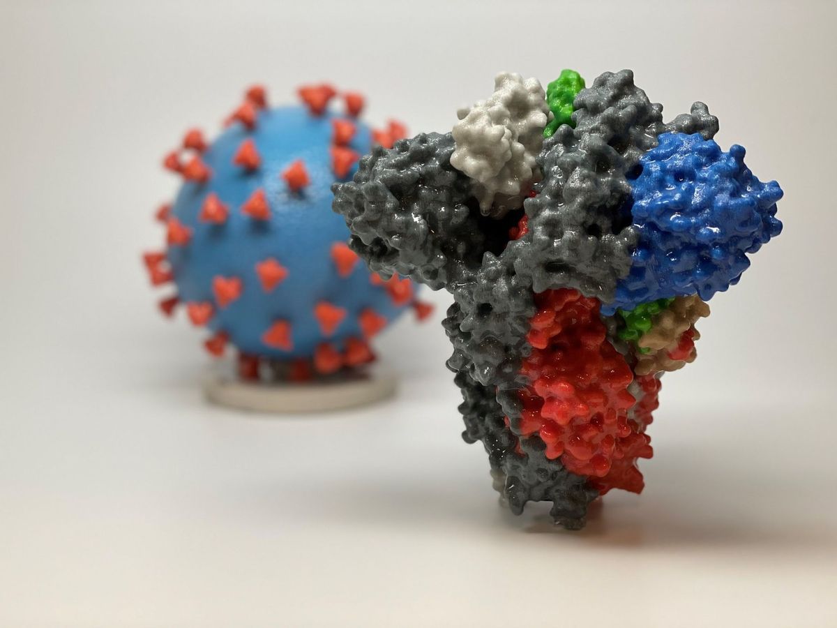 Foto: Impresión 3D de una proteína espiga de SARS-CoV-2 (primer plano), el virus que causa COVID-19, frente a una impresión 3D de una partícula de virus SARS-CoV-2 (atrás)