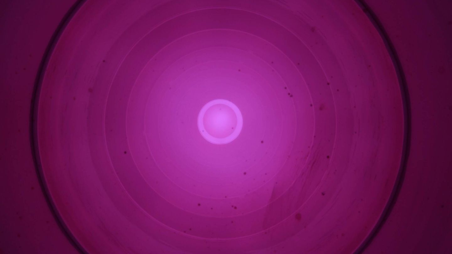 Imagen del plasma dentro del reactor Tentra. (Helion Energy)